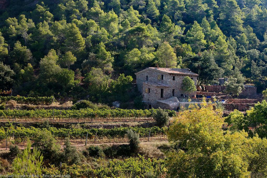 Les Quimeres Villa Falset Habitación foto